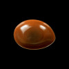 Фото №2: Салатник 230мм оранжевый Corone Cocorita фк8807 - купить в Симферополе, Крым