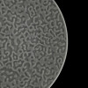 Тарелка мелкая без бортов 165мм серая Corone Nori фк5610 Фото №4: Тарелка мелкая без бортов 165мм серая Corone Nori фк5610 - купить в Симферополе, Крым