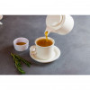 Фото №4: Чайник заварочный 450мл Corone Gourmet фк1418 - купить в Симферополе, Крым