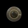 Кофейная пара 100мл серая Corone Luminare фк1930 Фото №2: Кофейная пара 100мл серая Corone Luminare фк1930 - купить в Симферополе, Крым