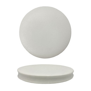 Блюдо для подачи d=22см White Matt Panasia арт.81221825 Фото №1: Блюдо для подачи d=22см White Matt Panasia арт.81221825 - купить в Симферополе, Крым