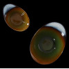Фото №4: Салатник 185х135мм 450мл Corone Verde фк0723 - купить в Симферополе, Крым