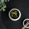 Фото №2: Cалатник 250мл d=10см фарфор White Moon арт.81222054 - купить в Симферополе, Крым